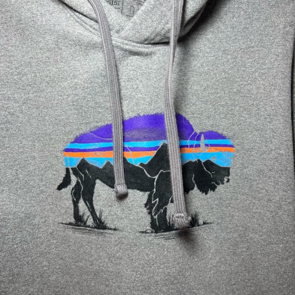 Patagonia Mens Fitz Roy Bison Uprisal Hoodie Sweatshirt Gray Graphic 39582 Small - Picture 3 of 11